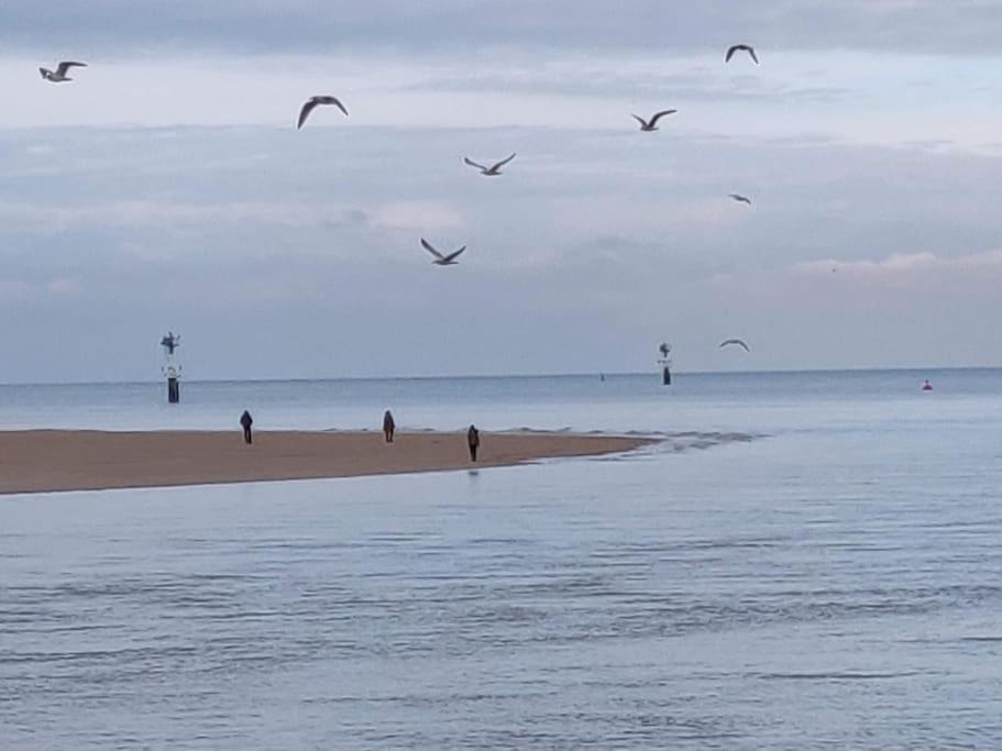 Ferienwohnung La Baleine Cabourg Exterior foto